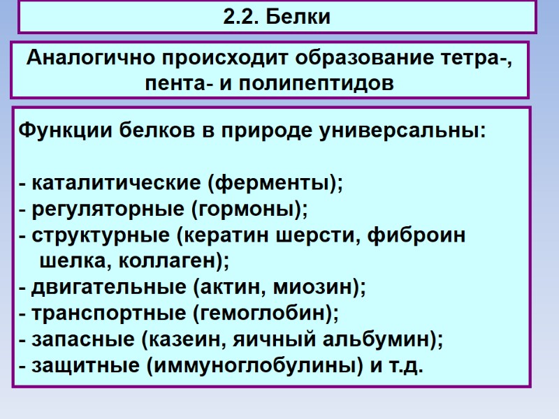 2.2. Белки Аналогично происходит образование тетра-, пента- и полипептидов Функции белков в природе универсальны: